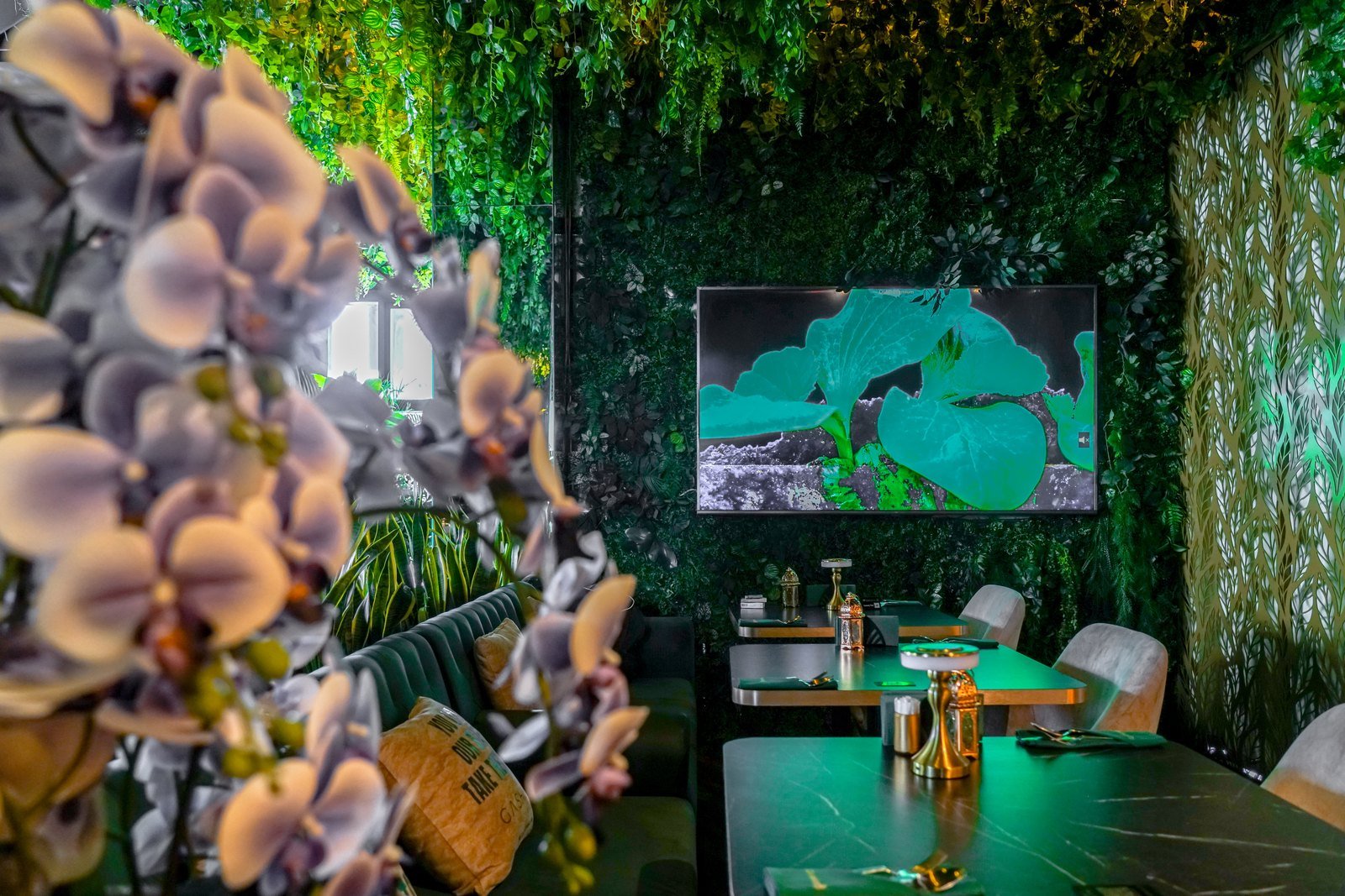 Gashisha restaurant fit-out on Sheikh Zayed Road, Dubai — photo 3